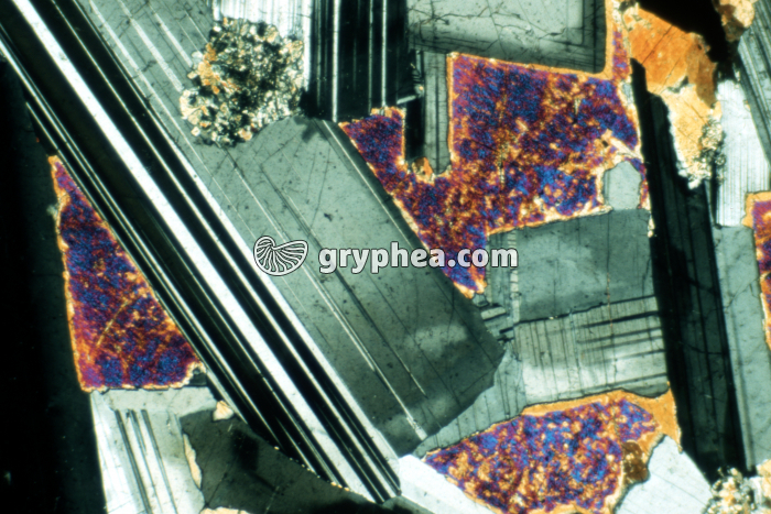 Feldspath plagioclase calcique LPA x20 - gryphea.org